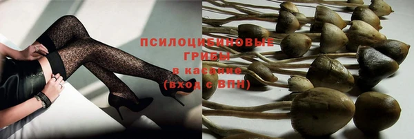Альфа ПВП Краснослободск